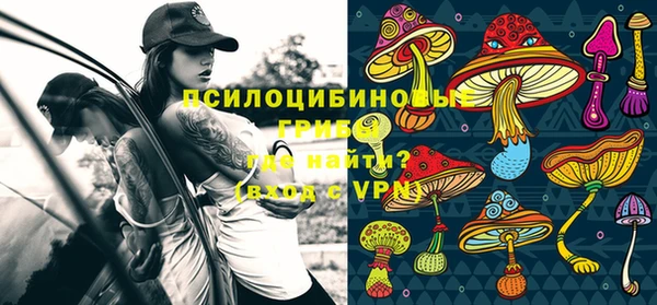прущие грибы Абдулино