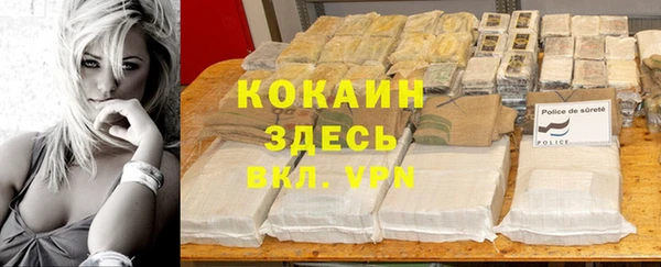 ECSTASY Михайлов