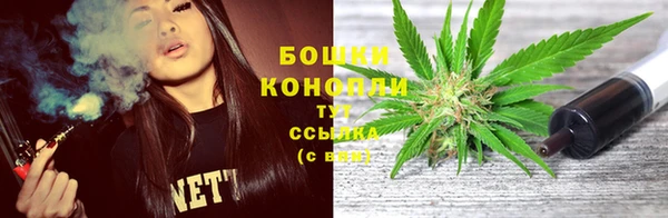 прущие грибы Абдулино