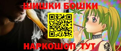 МДПВ Сланцы