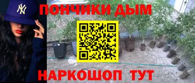 дурь Славгород