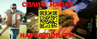 МДПВ Сланцы