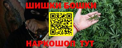 МДПВ Сланцы