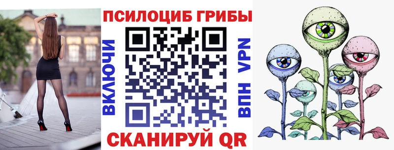 Галлюциногенные грибы Psilocybine cubensis  где купить   Ростов-на-Дону 